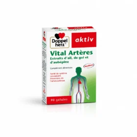 AKTIV VITAL ARTERES, 90 Gélules