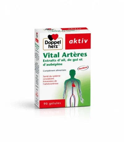 AKTIV VITAL ARTERES, 90 Gélules