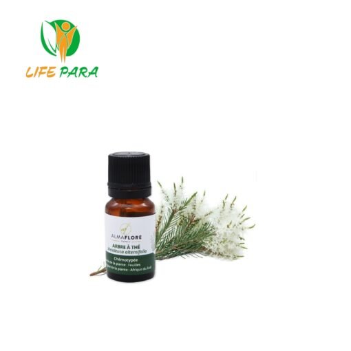 ALMAFLORE Huile Essentielle Arbre À Thé, 10ml