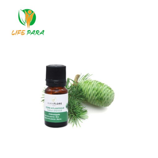 ALMAFLORE HUILE ESSENTIELLE DE CÈDRE ATLANTIQUE 10ML