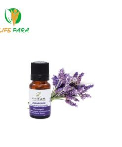 ALMAFLORE Huile Essentielle de Lavande Fine, 10ML