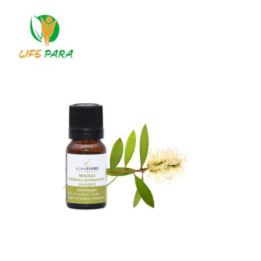 ALMAFLORE HUILE ESSENTIELLE DE NIAOULI 10ML