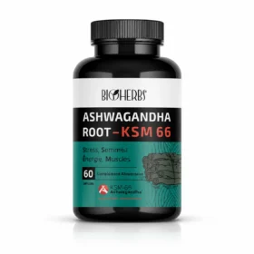 BIOHERBS ASHWAGANDHA ROOT KSM 66 , 60 gélules