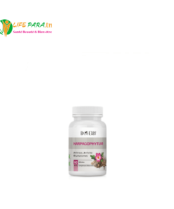 BIOHERBS HARPAGOPHYTUM B/60 GELULES