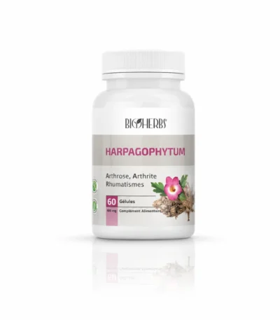 BIOHERBS HARPAGOPHYTUM B/60 GELULES
