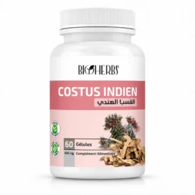 Costus Indien القسط الهندي