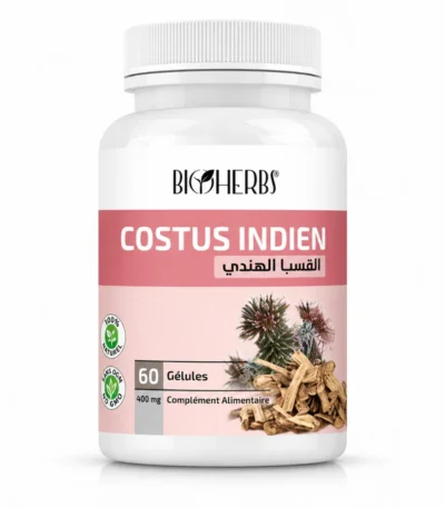 Costus Indien القسط الهندي