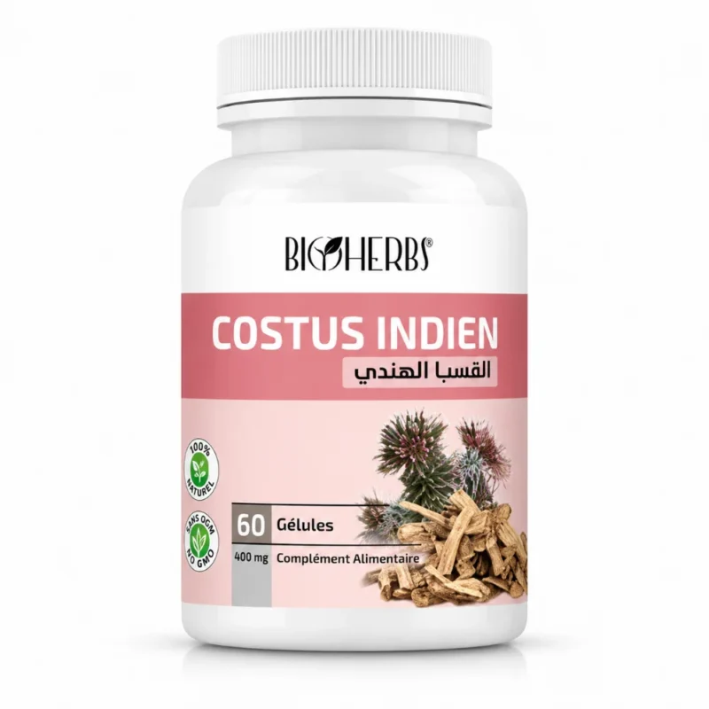 Costus Indien القسط الهندي