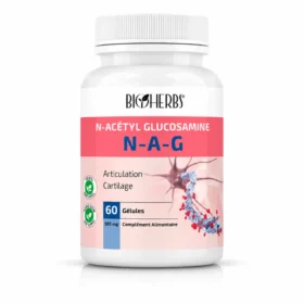 N-Acétyl Glucosamine