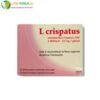 XEN L CRISPATUS 15 GELULES