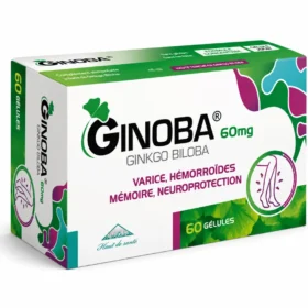 GINOBA 60 mg 60 gélules-6192405003817