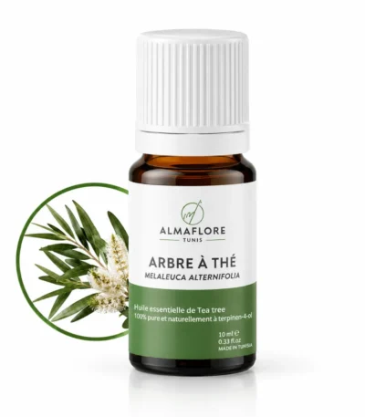ALMAFLORE Huile Essentielle de Tea tree BIO 10ML-6191432500559