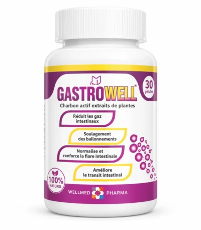 GASTROWELL 30 GELULES WELLNAT PHARMA-6192479018922